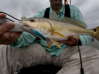 20" Redfish on 20240416